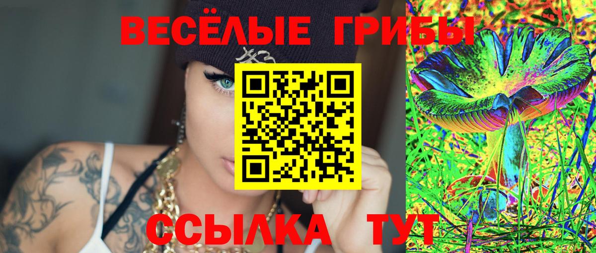 Галлюциногенные грибы Psilocybe Усолье-Сибирское