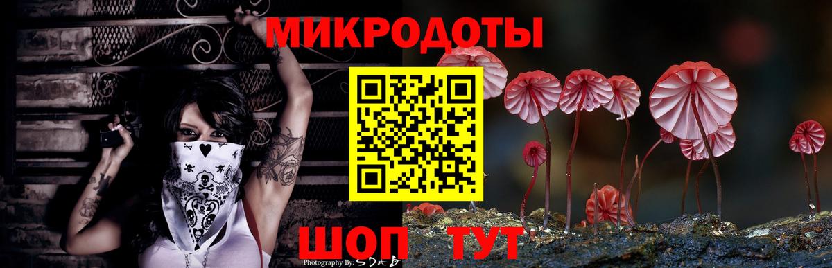 Галлюциногенные грибы Psilocybe  Галлюциногенные грибы ЛСД  Вход с VPN  Усолье-Сибирское 